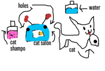 The Cat Salon.