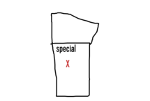 SPEICAL X